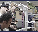 GRANDE FRATELLO? MA DI CHI? - 0249 granhermano5 - Gay.it Archivio
