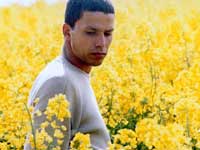 CINEMA GAY? EPPUR SI MUOVE - Drle de felixB 2 - Gay.it Archivio