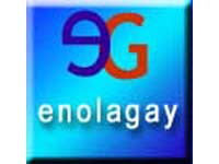 NAPOLI: PARTONO LE IMPRESE GAY - EnolaGay logo - Gay.it Archivio