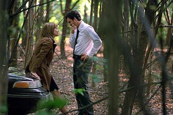 CINE-RICETTARIO NATALIZIO - In the Cut - Gay.it Archivio