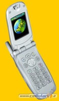 LA PRIMAVERA NEL CELLULARE - Nec colori - Gay.it Archivio