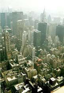 MEGLIO ROSA CHE VERDI - New York 1 - Gay.it Archivio
