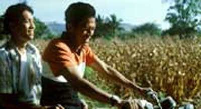 FEBBRE D'ASIA A CANNES - Tropical Malady 4 - Gay.it Archivio