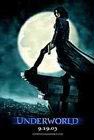 TRAVESTITO PER VIVERE - Underworld - Gay.it Archivio