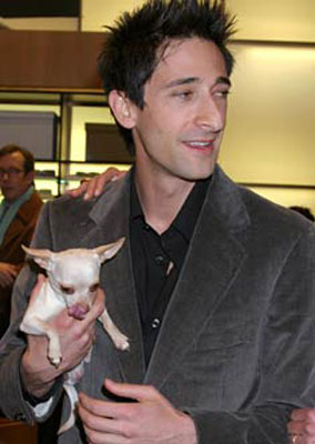 LE STAR E I LORO CAGNOLINI - adrien brody pet - Gay.it Archivio