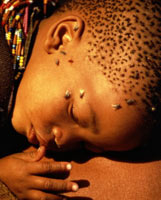 IL GRIDO DELL'AFRICA - africa02 - Gay.it Archivio