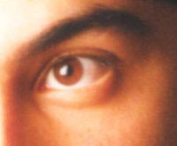 L'ARMONIA DI ANTONINO - antonino05 - Gay.it Archivio