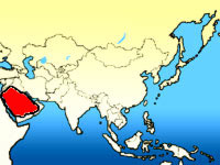 ASIA MORTALE - arabiasaudita asia - Gay.it Archivio