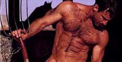 LA PILLOLA DELL'ETEROSESSUALITA' - bear2 - Gay.it Archivio