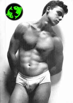 LE STELLE DEL NUOVO ANNO - bello bn27 - Gay.it Archivio