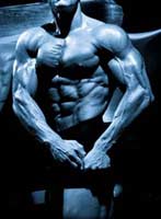 CIBO, SONNO E SPORT - body - Gay.it Archivio