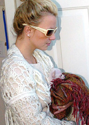 LE STAR E I LORO CAGNOLINI - britney spears pet - Gay.it Archivio