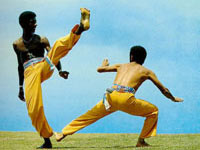 Brasile: primo censimento gay, Aids in calo - capoeira05 - Gay.it Archivio