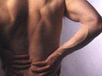 VITA DA UFFICIO - corpo 1 - Gay.it Archivio
