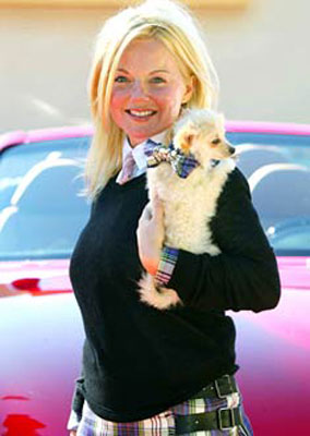 LE STAR E I LORO CAGNOLINI - geri halliwell pet - Gay.it Archivio