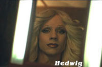 Hedwig Party in tutta Italia - hedwig04 - Gay.it Archivio