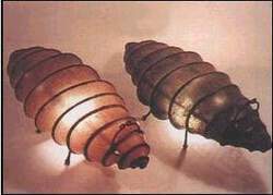 A LETTO CON LA MODA - lampada - Gay.it Archivio