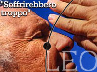 "SOFFRIREBBERO TROPPO" - leo28 02 - Gay.it Archivio
