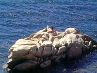 ANDARE A MYKONOS ORA È PIÙ FACILE - mykon07 - Gay.it Archivio