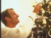 Bagheria: in Comune un albero di Natale gay - natalealbero - Gay.it Archivio