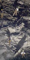 IL DOLORE E LA BEFFA - ny attacks02 - Gay.it Archivio