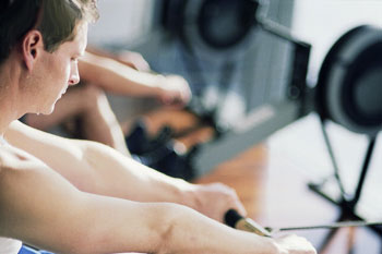I PECCATI DEL FITNESS - palestra32 - Gay.it Archivio