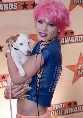 LE STAR E I LORO CAGNOLINI - pink pet - Gay.it Archivio