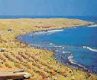 TUTTO SU GRAN CANARIA! - playas - Gay.it Archivio