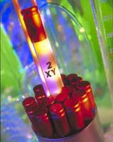 I VACCINI PER L'HIV - provette2 - Gay.it Archivio