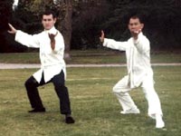 T'AI CHI, ANTICO BENESSERE - taichi07 - Gay.it Archivio