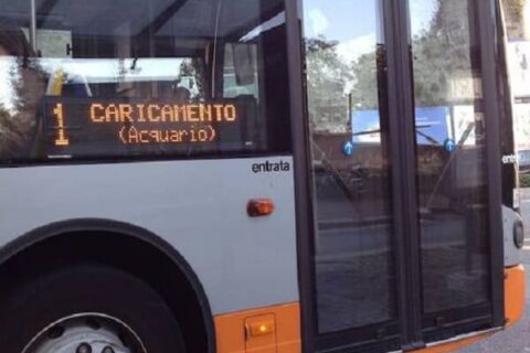 Sugli autobus contro l'aggressione omofoba di Genova - 11822762 867719433303292 3351187400033490884 n 1 - Gay.it Archivio