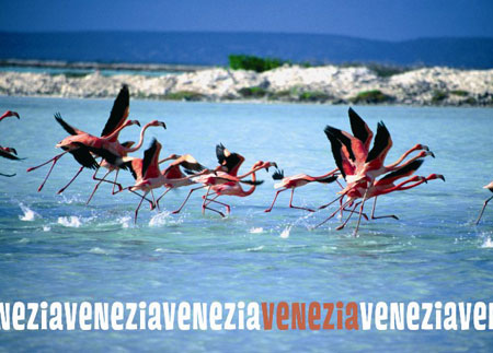 Una sbirciata al domani - Biennartven5 - Gay.it Archivio