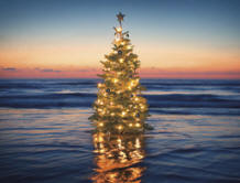Vacanze? A Natale regalati il miglior prezzo del web! - ChristmasTreeBeach - Gay.it Archivio