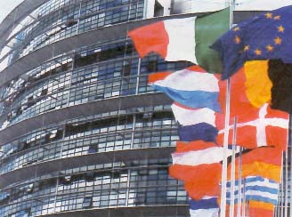 Il parlamento europeo: "Gli stati riconoscano le coppie" - EuroParlamento - Gay.it Archivio