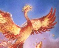 Firenze: seminario sulla cultura a tematica gaylesbica - Fenice - Gay.it Archivio