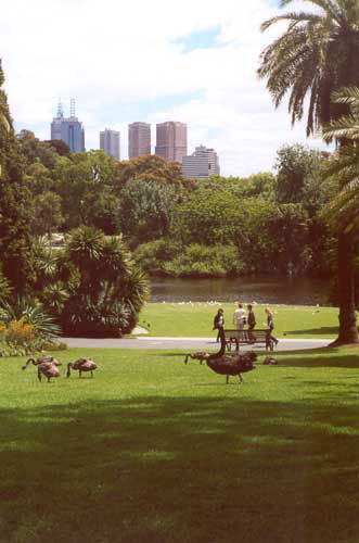 UNA METROPOLI A MISURA DI GAY - Melbourne botanical - Gay.it Archivio