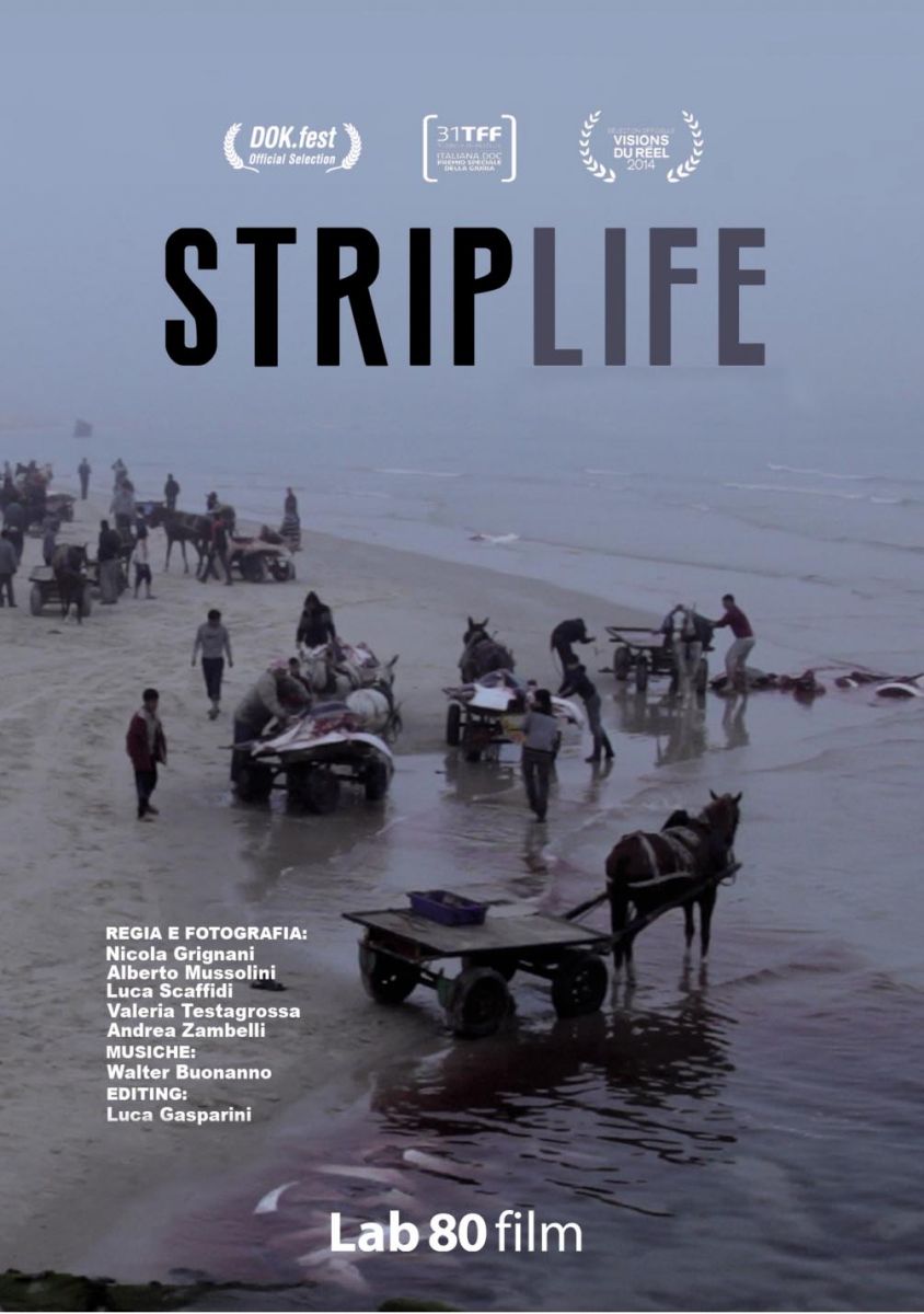 CinemaSTop, arriva La teoria del tutto candidato a cinque premi Oscar - STRIPLIFE cinemastop - Gay.it Archivio