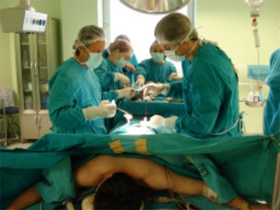Sieropositivo diventa immune all'Aids con un trapianto - aidsmidolloF2 - Gay.it Archivio