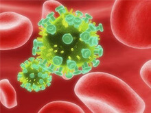 AIDS: Science, scoperti anticorpi promessa per vaccino - aidsnuovoBASE 2 - Gay.it Archivio