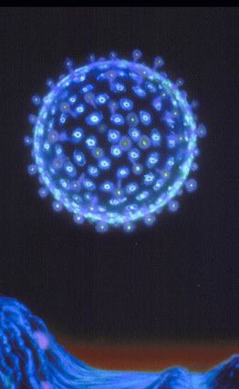 AIDS: ISS, In Italia 1 sieropositivo su 4 non sa di esserlo - aidsquattroF1 - Gay.it Archivio