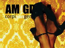 Disco e maschioni, finalmente si riparte! - amigdala2BASE - Gay.it Archivio