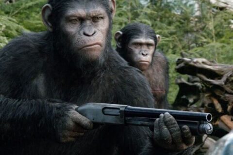 CinemaSTop, scimmie evolute e cuochi orsoni: è animal power! - apes revolution il pianeta scimmie cinema cinemastop BS 1 - Gay.it Archivio