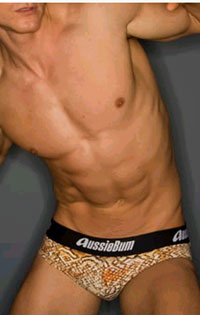 La febbre dello shopping: e voi che regalo scegliete? - aussieBumF5 - Gay.it Archivio