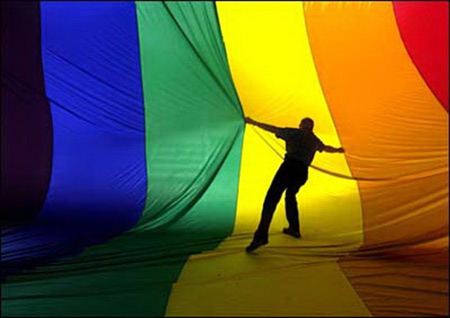 Pride 2008: slogan ufficiale 'Pari diritti, pari dignità' - bandiera rainbow uomo - Gay.it Archivio