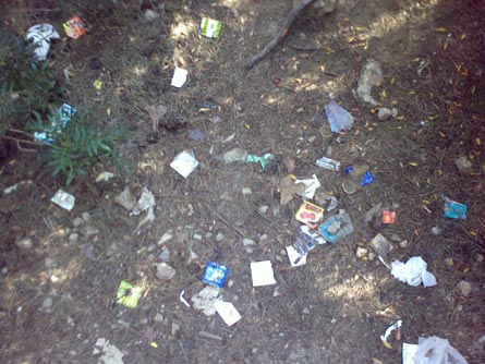 Rapina nel battito, arrestati due italiani - battitoF1 - Gay.it Archivio