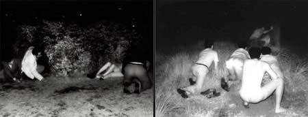 Illuminano gay mentre fanno sesso, condannati 4 pompieri - cruising inghilterraF1 - Gay.it Archivio
