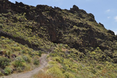 Gran Canaria: estate tutto l'anno - grancaF6 - Gay.it Archivio