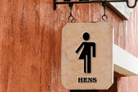 La Svezia introduce "hen", pronome senza genere contro l'omofobia - hen svezia 1 - Gay.it Archivio