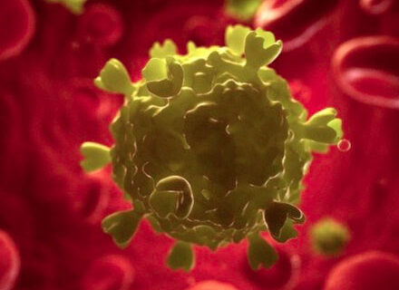 Ricercatori italiani: "a un passo dal cocktail che debella l'HIV" - hivoroBASE 1 - Gay.it Archivio