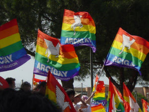 Inchiesta Arcigay/1: l'associazione Nazionale - incharcigay1F4 - Gay.it Archivio